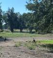 125 Milton Creek Ranch Road - Photo 18