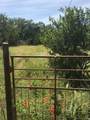 1685 Hwy 281 Highway - Photo 30