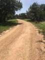 1685 Hwy 281 Highway - Photo 4