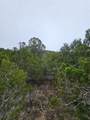 8202 Bar K Ranch Rd - Photo 10