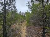 8202 Bar K Ranch Rd - Photo 4