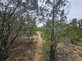 8202 Bar K Ranch Rd - Photo 5