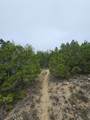 8202 Bar K Ranch Rd - Photo 7