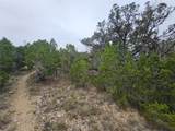 8202 Bar K Ranch Rd - Photo 9