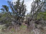20800 Cedar Ridge Cv - Photo 7