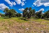 10299 Brangus Rd - Photo 8