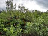 683 County Road 467 - Photo 7