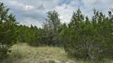 Lot 645 Wagon Wheel Trl - Photo 26