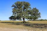TBD Stockade Ranch Rd - Photo 2
