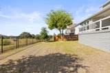 1005 Sage Thrasher Cir - Photo 33