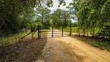 1908 County Road 305 - Photo 39