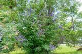 802 Smith Rd - Photo 22