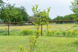 802 Smith Rd - Photo 28