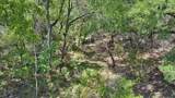 4220 County Road 202 - Photo 7