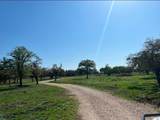 TBD Crooked Tree Cir - Photo 5