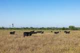 15350 San Marcos Highway - Photo 23