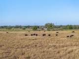 15350 San Marcos Highway - Photo 32