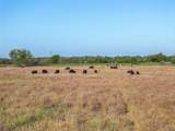 15350 San Marcos Highway - Photo 33