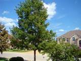 10700 Pointe View Dr - Photo 2