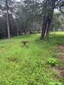 214 The Forest Rd - Photo 14