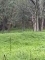 214 The Forest Rd - Photo 15