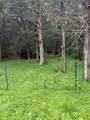 214 The Forest Rd - Photo 18