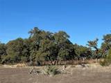Lot 186 Blackbuck Ridge Dr - Photo 11