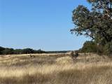 Lot 186 Blackbuck Ridge Dr - Photo 14