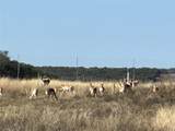 Lot 186 Blackbuck Ridge Dr - Photo 15