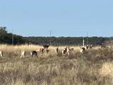 Lot 186 Blackbuck Ridge Dr - Photo 16