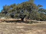 Lot 186 Blackbuck Ridge Dr - Photo 22