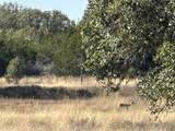 Lot 186 Blackbuck Ridge Dr - Photo 6