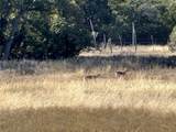 Lot 186 Blackbuck Ridge Dr - Photo 8
