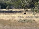 Lot 186 Blackbuck Ridge Dr - Photo 9