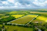 18.45 Acres Fm 1660 - Photo 15