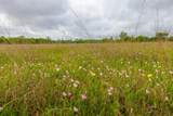 18.45 Acres Fm 1660 - Photo 22
