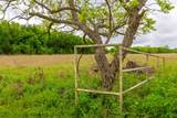 18.45 Acres Fm 1660 - Photo 24