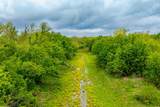 18.45 Acres Fm 1660 - Photo 26