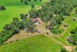 1910 County Road 415 - Photo 19