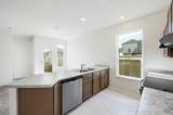 12113 Cantabria Rd - Photo 11