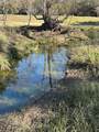 TBD County Road 1320 - Photo 4