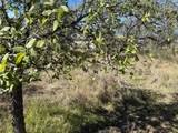 Lot 187 Longmont St - Photo 18