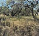 Lot 187 Longmont St - Photo 5