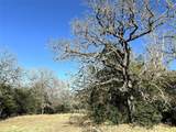 TBD Rosanky Cattle Company Rd - Photo 32