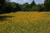 1546 State Highway 71 - Photo 32