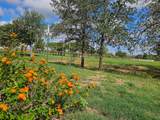 479 Mesquite Dr - Photo 25