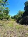 2654 County Road 329 - Photo 22