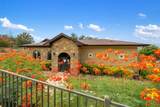 335 Lombardia Dr - Photo 30