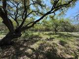 Lot 106 Flying Owl Dr - Photo 1