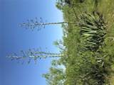 15501 Goforth Rd - Photo 10